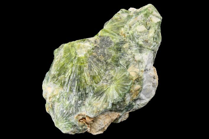 Radiating, Green Wavellite Crystal Aggregation - Arkansas #163065